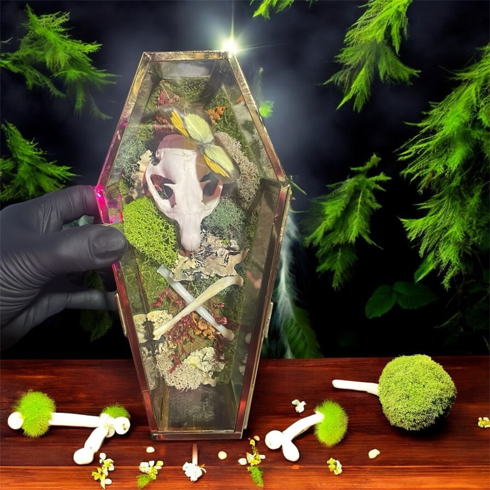 Skull and Crossbones in Glass Coffin- Handmade